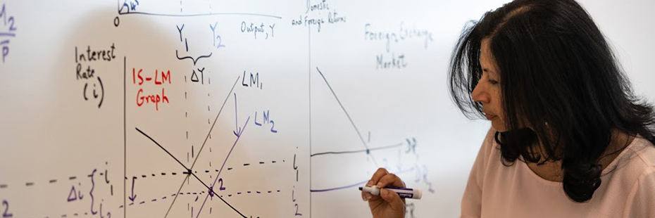 Dr. Ghosh demonstrates a two-dimensional macroeconomic tool that shows the relationship between interest rates and the assets market.