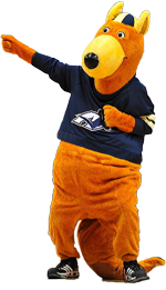 Zippy Zippy