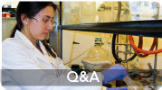 Q&A