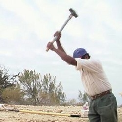 Los Trabajadores/The Workers