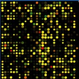 Bioinformatics