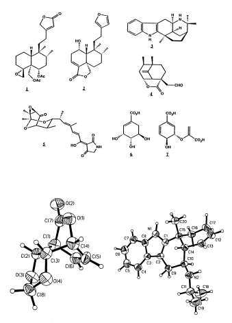 Taschner Figure 1
