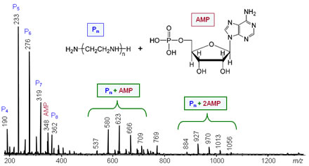 Wes Figure 4
