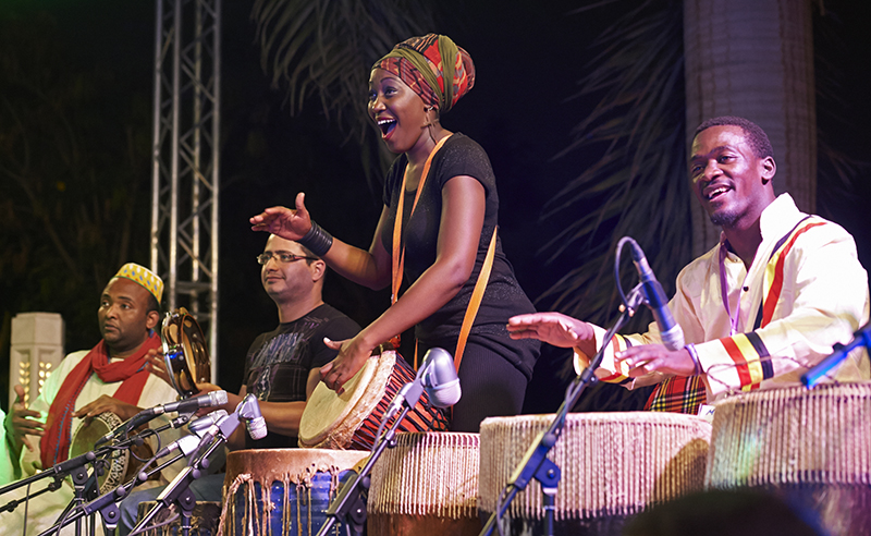 Nile Project performers Nile Project performers
