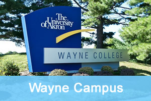 wayne campus activities