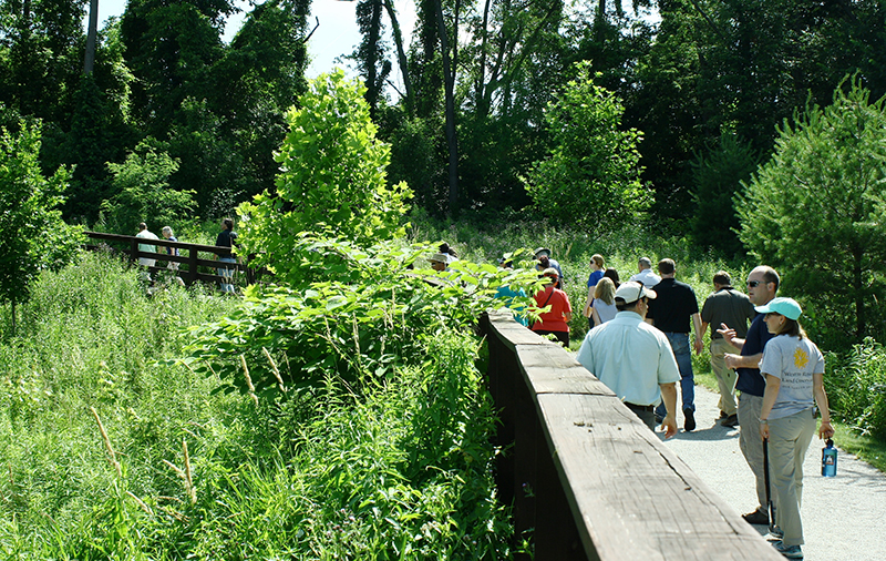 2014 BioBlitz hikers