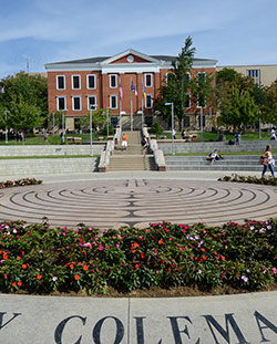 Flowers on Coleman Common, near the center of campus.