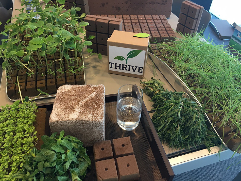 Thrive products