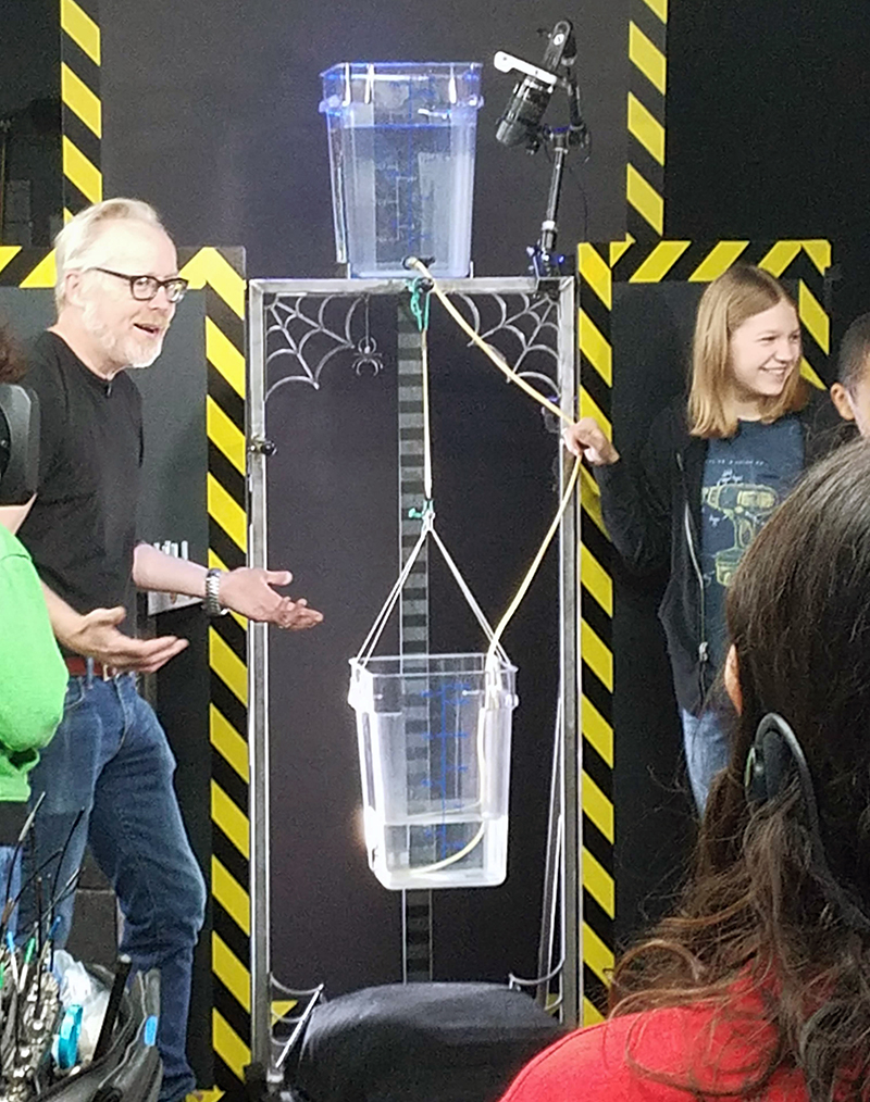 Spider-test-mythbuster-Savage Spider-test-mythbuster-Savage