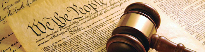 Constitutional law at bet365官网 Law