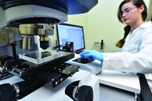 Focused Ion Bean technology on NCERCAMP's SEM