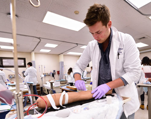 bet365官网 of bet365官网 nursing student works in a lab