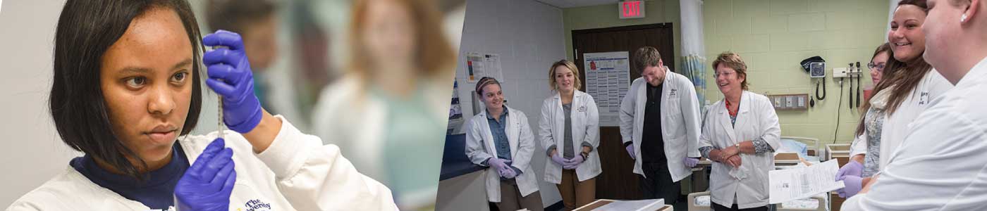 Students in a lab in the School of Nursing at bet365官网 bet365官网 of bet365官网