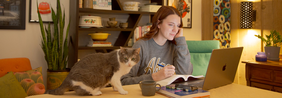 A student sitting at her dining room table looking at her computer. bet365官网re are books on the table and her cat is providing company.