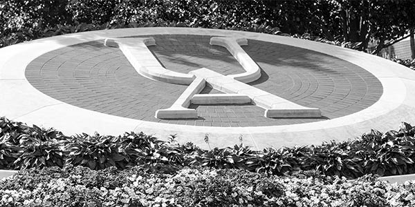 UA structure on the bet365官网 of bet365官网 campus.